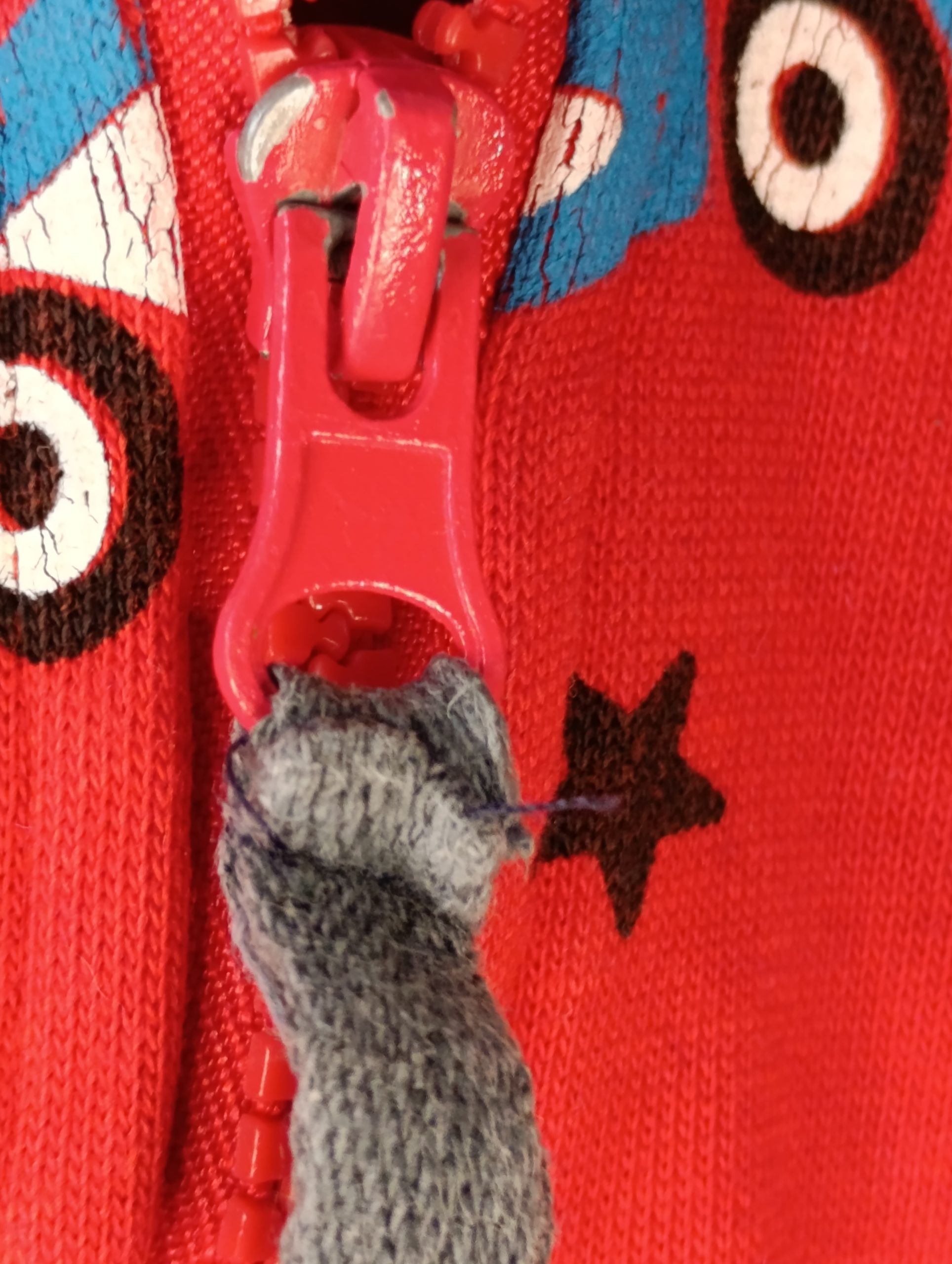 Gilet à capuche - "Du pareil au même" - 2 ans – Image 5